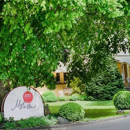 Biohotel Mohren Hotel