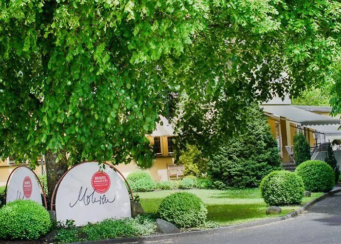 Biohotel Mohren Hotel