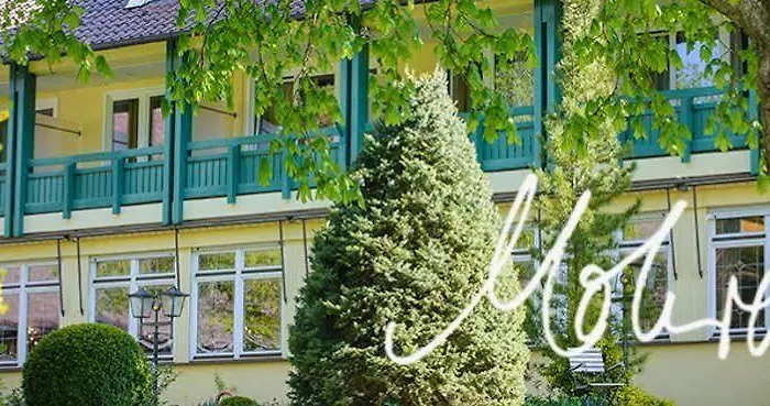 Biohotel Mohren Hotel